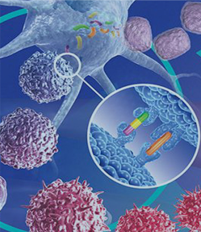 �˹�����